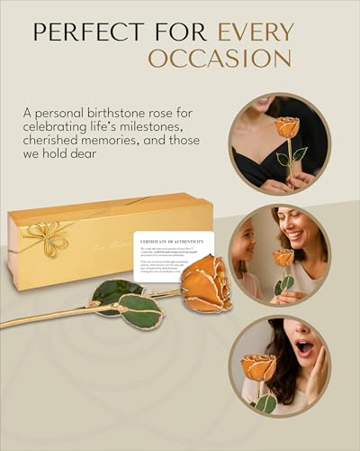 Image of Forever Rose Hand-Dipped in 24K Gold,Golden Topaz-Inspired November Birthstone with Sparkles, Real Rose in Luxury Gold Gift Box - Perfect Ready to Gift for November Birthday or Any Occasion