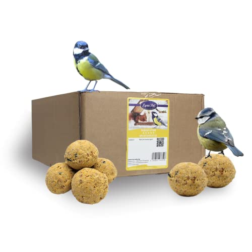 Meisenknödel Mit Insekten Ohne Netz- 35er Im Karton