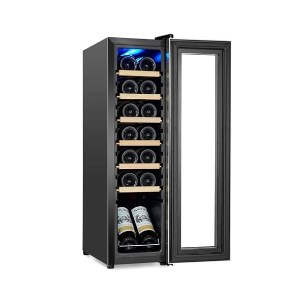 14 Bottle Compressor Wine Cooler, Wine Cellar with Adjustable Temp Control, Freestanding Beverage Refrigerator for Red, White, Champagne, Beer, Soda