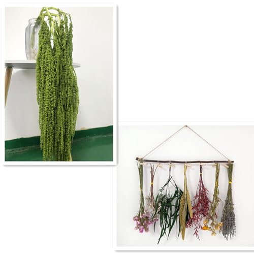Flores Secas Colgantes de Glicina Blanqueada con Lavanda miniatura 1