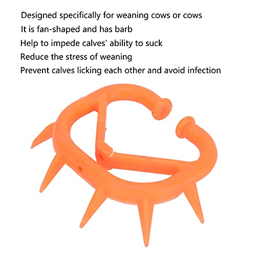 Desmame de gado, tihood Desmame de espinho de nariz de vaca para vacas desmamadas(Modelos boutique)