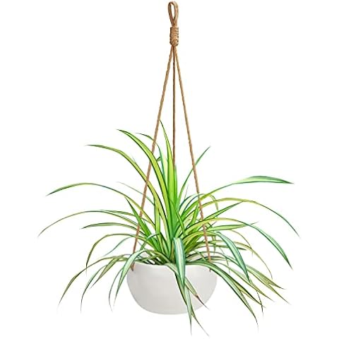 Jardinière Suspendue BELLE VOUS Cover