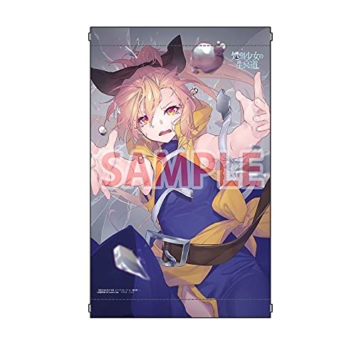 Amazon.co.jp: Execution Girl Live the Way Virgin Road 6 Vols Salt 