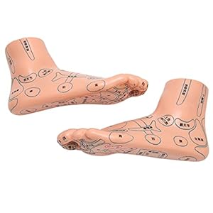 Acupunctuur Voet Model, Voet Model Aids Benodigdheden Voet Model Acupunctuur Onderwijs voor Massage voor Onderwijs voor…