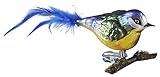 thüringer glasschmuck lauscha ca 15 cm lang (mit Feder) Thüringer Weihnacht 52-001 Glas-Vogel, Blaumeise mit Naturfedern