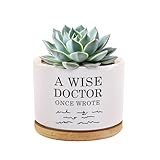 Loovelo A Wise Doctor Once Wrote Ceramic Succulent Plant Pot with Tray Doctor Gifts Home Office Decor Indoor Plant Dr Graduation Gift 3.5 Inch White (No Plants) (with Bamboo Tray)