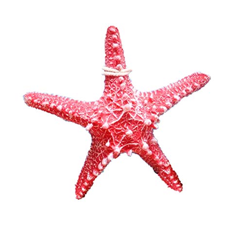 RAYLINE-DO RayLineDo Creative Mediterranean Style Design Beach Starfish Resin Five-Pointed Star in Red Home Restaurant Kindergarten Wall Hanging Decoration