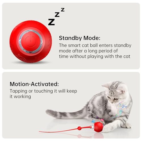 Balle mobile pour chat : la solution contre l'ennui et le manque d'exercice des félins - 8