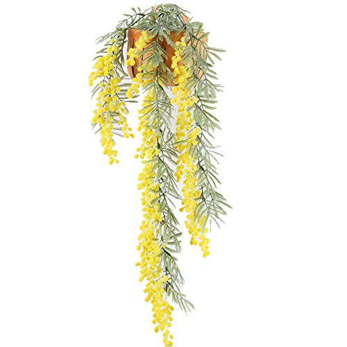 Htmeing ԃ~U݂艺vfBJAJVA z[EFfBO Ǒ () 1