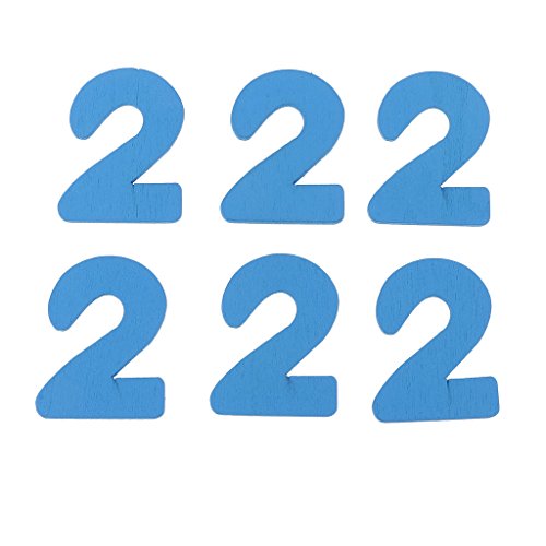 AnDream Full A-line 6 Hoop Petticoat for Women Underskirt Slip Crinoline For Bridal Dress PT06-PP Purple