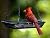 Hanging Bird Feeder Tray Platform Metal Mesh Seed Tray for Bird Feeding Outdoor Garden Decoration for Backyard Attracting Wildbirds