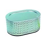 Hiflofiltro HFA3705 Premium OE Replacement Air Filter, Black