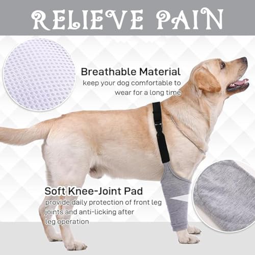 Hundebeinschutz, Ellenbogenbandage Hund, Ellenbogenschutz für Hunde, Hund Recovery Sleeve für Vorderbeine, Ellenbogenbandage Ellbogenschoner für Kleine, Mittelgroße und Große Hunde