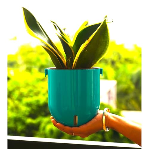 Image of Indian Discovery Self Watering Wall Hanging Planter|Hanging /Hooked Flower Pots for Home, Balcony, Vertical Garden Decor Flower Pots(2 PC, Sea Green, Sphere)|6 Inch UV-Resistant Plastic Plant Pots