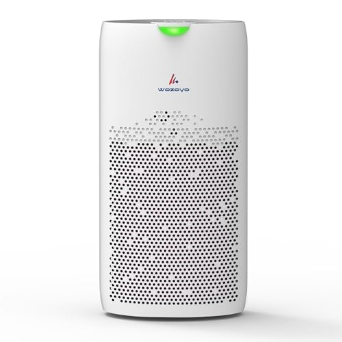 Image of Pure Air PA5 Wozoyo Air Purifier for Home & Office, 4-in-1 filter, Pre Filter,Anti-Bacterial,H13 HEPA,Activated Carbon,Covers 1570ft,Removes 99.99% PM2.5 PM10 Smoke Dust Odor,APP control,LED Display