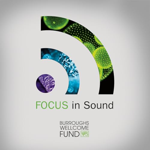 FOCUS In Sound #37: Jennifer Brophy