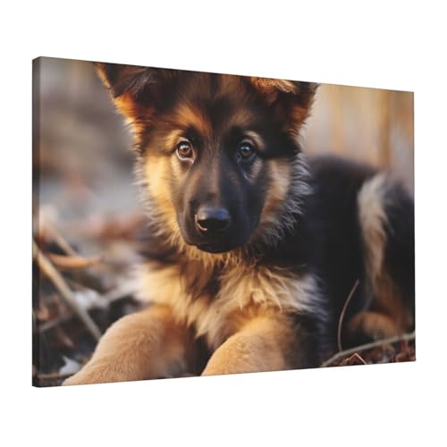 Toile chiot berger allemand 40x60 cm cadre suspendu salon