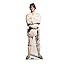 Luke Skywalker Classic