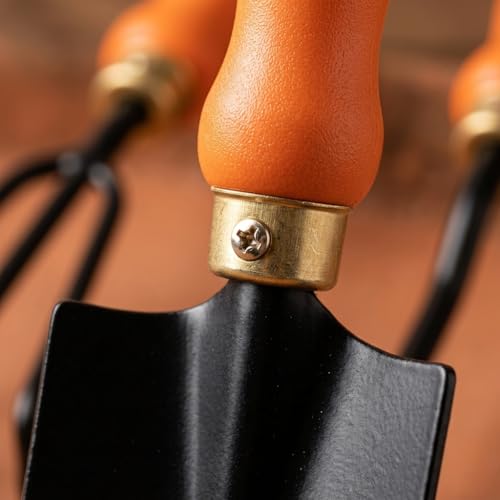 Image of Ocean Mart Garden Tool Set of 3 Pcs - Home Tools & Gardening Tools Kit for Home Garden- (Big Trowel, Cultivator, Weeder) - Terrace Gardening Accessories, Gardening Essentials, Garden Tools Heavy Duty