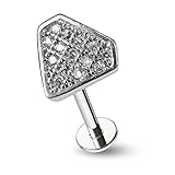 Labret Longueur: 6MM Monster Piercing Micro R?glage CZ Pierre Diamant Forme 16 Jauge Acier Chirurgical H?lice Tragus Oreille Piercing Bijoux