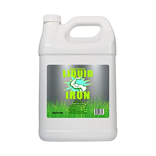 Best Non Toxic Lawn Fertilizers Top Picks