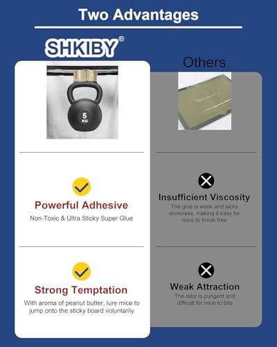 Rat & Mouse Glue Traps 6 Pack, Large Bulk Traps, Indoor for Home, Pre-Scented Adhesive Plastic Tray Inside House, Snake, Mice, Spider Pet Safe