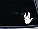Live Long and Prosper - 3 3/4" x 5" die cut vinyl decal for windows, cars, trucks, tool boxes, laptops, MacBook - virtually any hard, smooth surface
