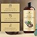 Handcraft Blends Organic Castor Oil 16 Fl Oz | 100% Pure and Natural | Premium Grade Carrier Oil | Hair, Eyelashes and Eyebrows | Hair and Body | Expeller-Pressed | Hexane-Free
