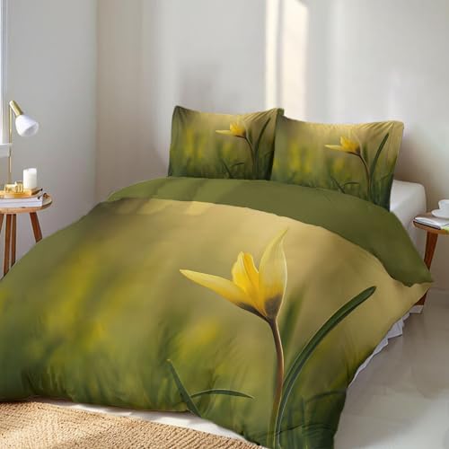Parure de lit 220x240cm microfibre infroissable pour en finir avec le repassage