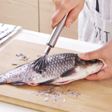 Kokosschaber Edelstahl - Küchenwerkzeug Multifunktional