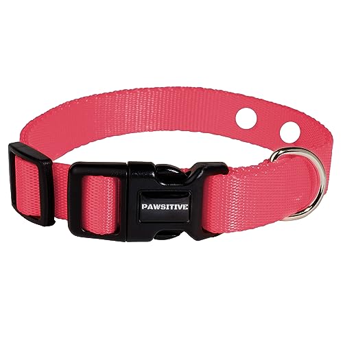 Invisible Dog Fence And Collar 2024 Vet Ranch We Love Pets