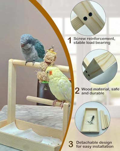 Image of Small Bird Training Stand Portable Tabletop Birds Perch Desktop Platform Training Perch with 5 Pcs Disposable Pads Parakeet Play Gyms Exercise for Budgie Conure Parrot Cockatiel Lovebird