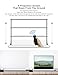 VIVIDSTORM- Projector Screen S 84 Inch Portable Folding Stand Floor Rising Movie Screen Sound Transparent Perforated White Screen Compatible with Ordinary Projector,VWSDSTPW84H
