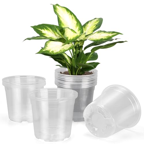 DUNPUTE 6 Inch Large Clear Nursery Pots with Drainage, 20 Pack Plastic Pots for Plants, Ideal Seedling Pots and Plant Pots for Vegetables, Orchids, Aloe, Indoor Outdoor Use (6 inch-20 Pack)