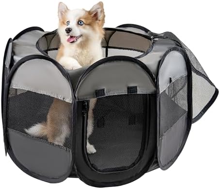 Lafyette. — alternate angle