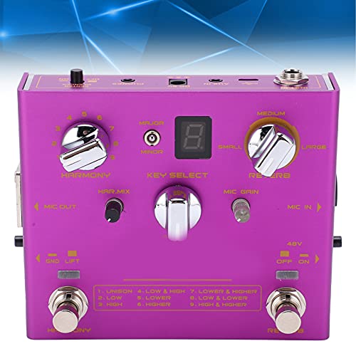 Effectpedaal, DC 9V 500mA vocaal effect voor het spelen van muziekinstrumenten - Image 6