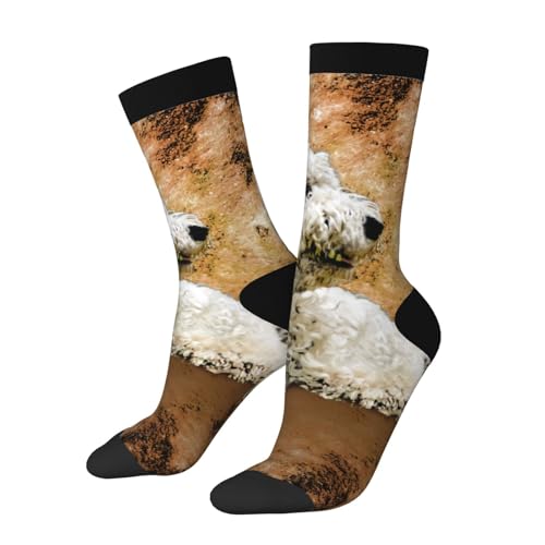 asbwuo Vintage Goldendoodle Dog Novelty Crew Socks Print Unisex Gifts Men Women asbwuo Vintage Goldendoodle Dog Novelty Crew Socks Print Unisex Gifts Men Women