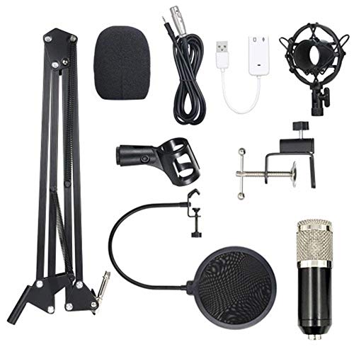Micrófono Karaoke Micrófono portátil Lit Pro Audio Studio de grabación y Brocasting ajustable Suspensión de micrófono Brazo de tijera Pop Filter para la Difusión ( Color : 2 , Size : One size )