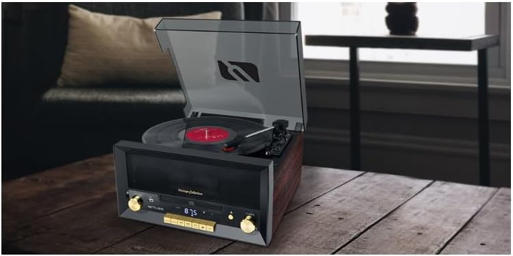 posterior view of the Muse MT-112 W Micro System, showing the power input and audio output ports.