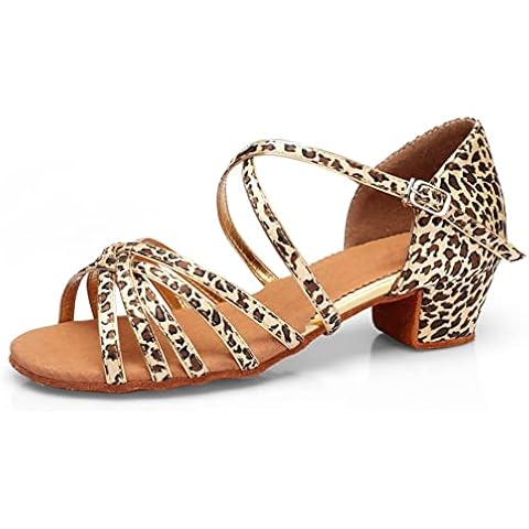 HZSCLKJ Girls Latin Dance Shoes Women Low Heels Tango Salsa Ballroom Shoes Dance Training Shoes Cover
