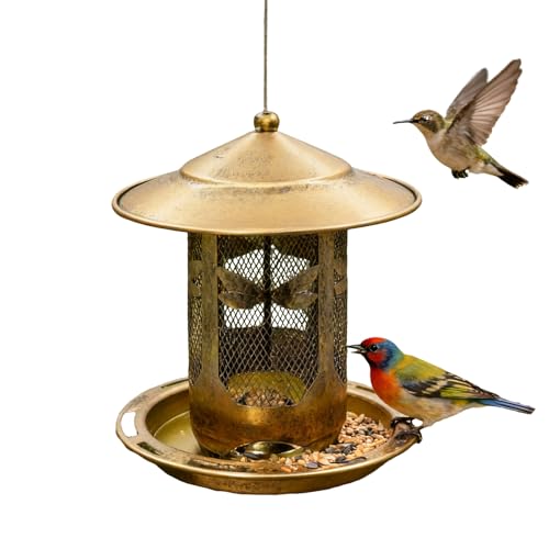 Mangeoire oiseaux extérieur avec base remplaçable pour jardin