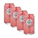 Dr. Brown Soda Black Cherry Diet, 12-ounces (Pack of4)
