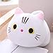 25-35-50cm Miękkie słodkie pluszowe zabawki z kotem Nadziewane Kawaii Poduszka Kot pluszowe lalki dla dzieci Prezent 35cm biały