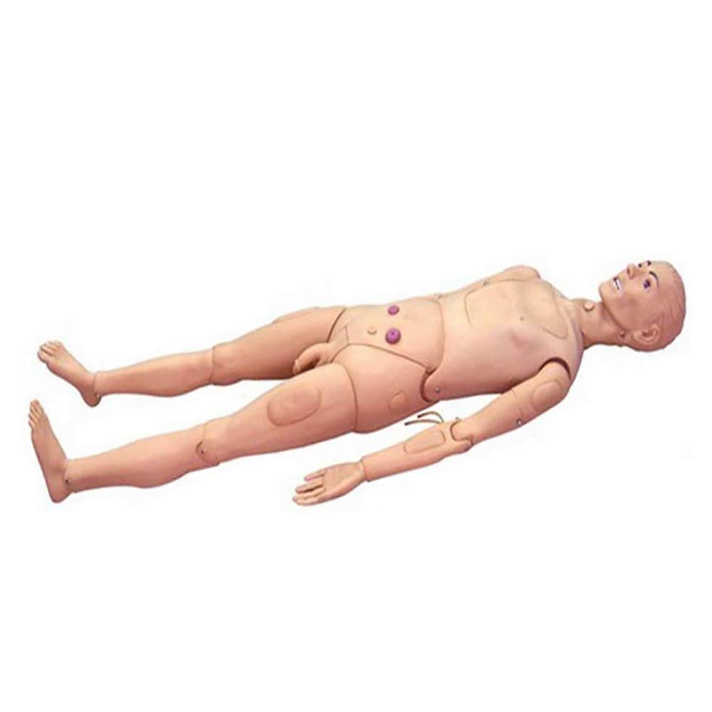 DDT Krankenpflege Pflegepuppe Multifunktional Patientenversorgungssimulator 170CM Nursing Medical Ausbildung Lehre Bildung Medizinische Versorgung Altenpflege