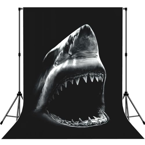 Toile de fond Shark1 pour séance photo de portrait en studio sans support
