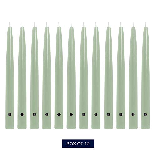 Image of Colonial Candle Unscented Taper Candle, Handipt Collection, Colonial Classic Green, 10 in, Pack of 12 - Up to 8 Hours Burn