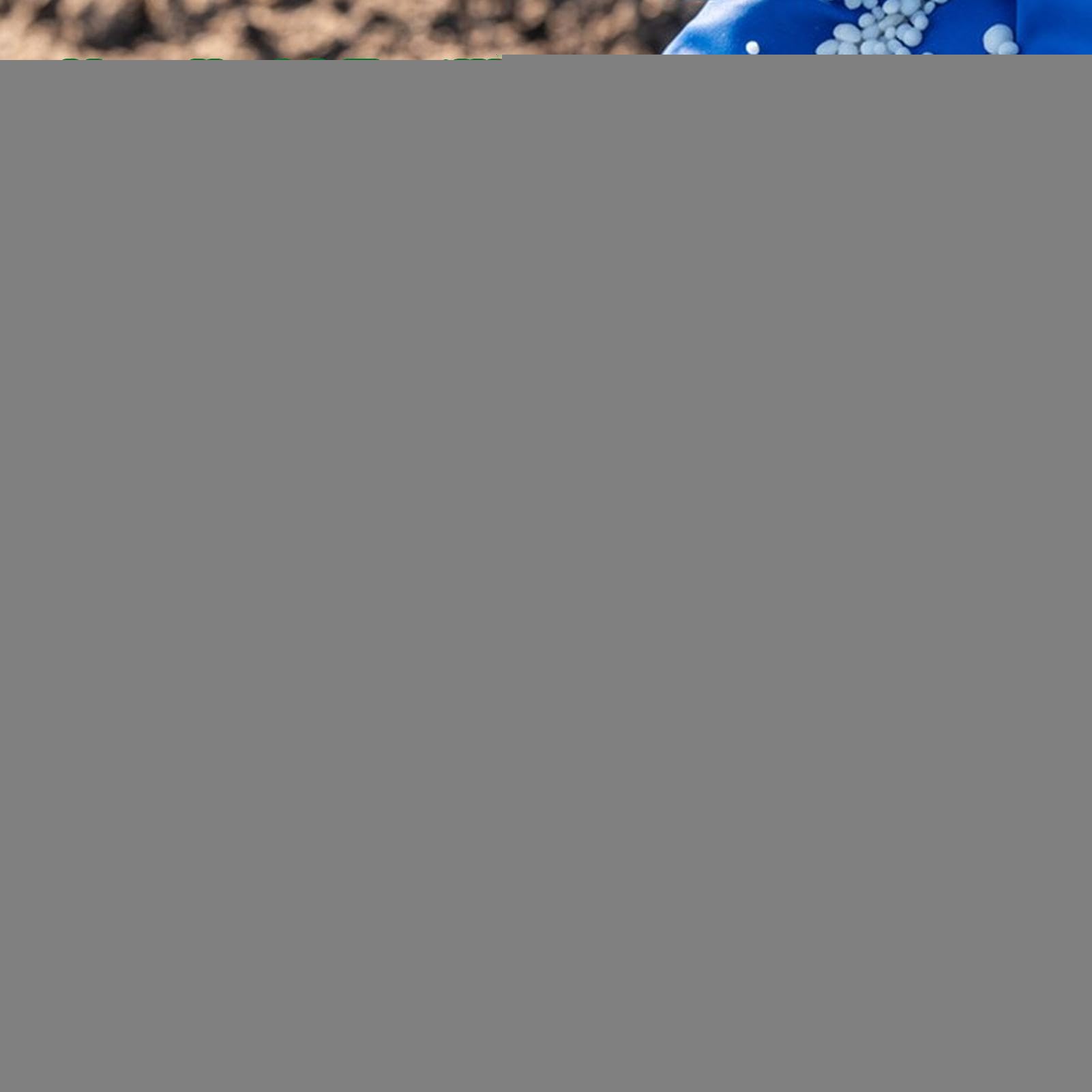 Handstreuer | Rasenstreuer | Handkurbel Gartenausrüstung | Für Rasen Gemüsebeet Blumenbeet Im Frühling Herbst