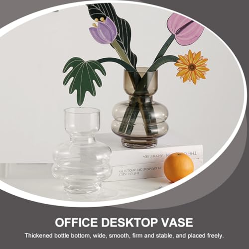 Bouteille Hydroponique en Verre Transparent DOITOOL Vase à Bourgeons