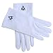 Produktbild Freimaurer-Handschuhe, 100% Baumwolle, weiß  Gr. L, weiß