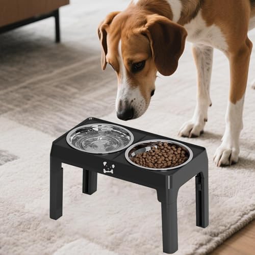 Ensemble de gamelles de nourriture et d'eau pour chien premium - 8
